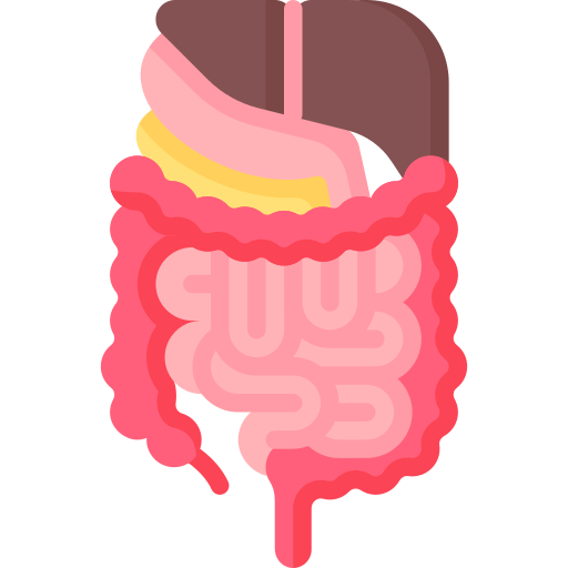 gastrointestinal-tract
